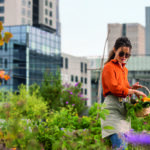 Woman wearing sunglasses picking fruit and vegetables from a roof top garden